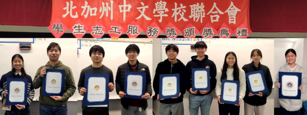 Volunteer Service Award